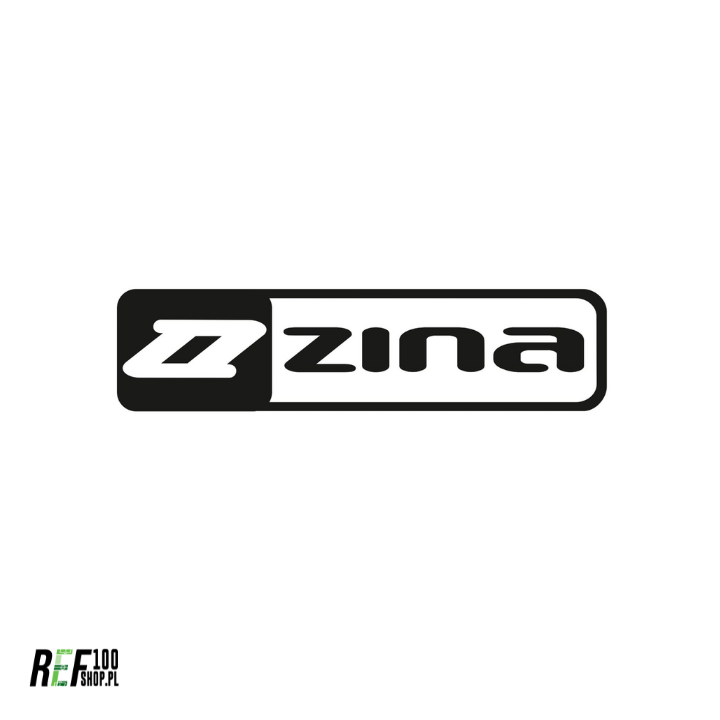 Logo Zina